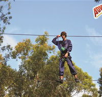 Adventure Parc at Currumbin Wildlife Sanctuary - Events Australia