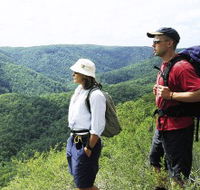 Sunshine Coast Hinterland Great Walk - Events Australia