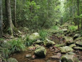 Amamoor QLD Tourism Bookings