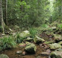 Amamoor State Forest - Tourism Bookings