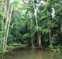 Mount Allan Trail - Events Australia