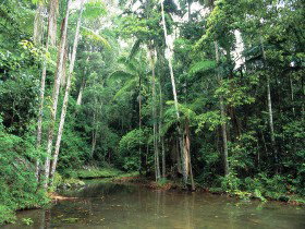 Mount Allan Trail - Events Australia 0