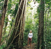 Wet Tropics - Events Australia