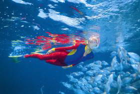 Pixie Pinnacle Dive Site - Events Australia 0