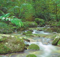 Mossman Gorge Daintree National Park - Events Australia