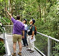 Daintree Discovery Centre - Events Australia