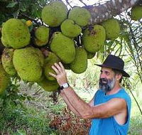 Cape Trib Exotic Fruit Farm - Events Australia