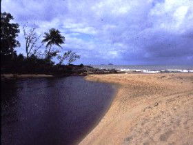 Russell River National Park - Events Australia 0