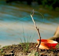 Charleville - Mangalore Warrego River Fishing Spot - Events Australia