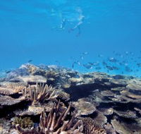 Australian Institute of Marine Science - Events Australia