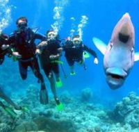 Gotham City Dive Site - Events Australia