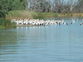 Kelso QLD Events Australia