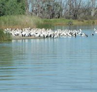 Lake Ross - Events Australia