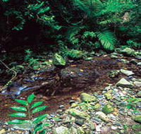 Wompoo Walk - Events Australia