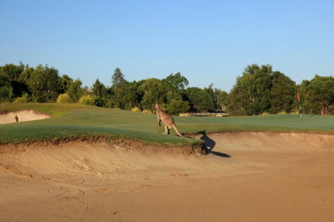 Pelican Waters Golf Club - Events Australia 6