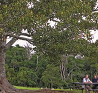Ravensbourne National Park - Events Australia