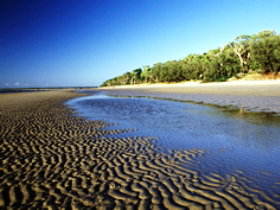 Kinkuna Section - Events Australia 0