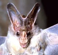 Mount Etna Caves National Park - Accommodation Europe