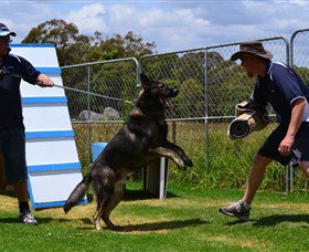 Lawdogs Australia - Events Australia 0