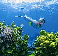 Wheeler Reef Dive Site - Events Australia
