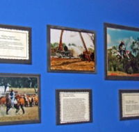 Town Hall Photographic Display - Events Australia