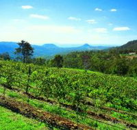 Preston Peak Wines - Events Australia
