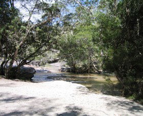 Davies Creek National Park And Dinden National Park - Events Australia 0