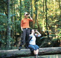 Birdwatching on the Fraser Coast - Events Australia