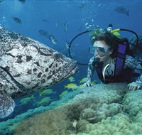 Pelorus Island - Events Australia