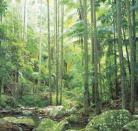 Python Rock - Events Australia