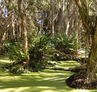 Arkarra Lagoons and Tea Gardens - Events Australia