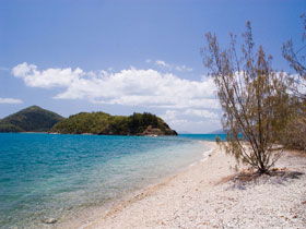 Shute Harbour QLD Events Australia