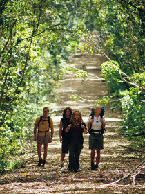 Wet Tropics Great Walk - Events Australia 0