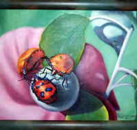 Kingaroy Shire Art Gallery - Events Australia