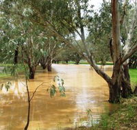 Saddliers Waterhole and Hamburg Creek - Events Australia