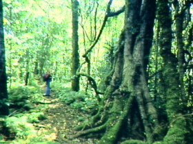 Munbilla QLD Events Australia