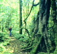 Mt Superbus - Events Australia