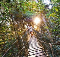 Tree Top Walkway - Events Australia