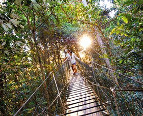 Tree Top Walkway - Events Australia 0