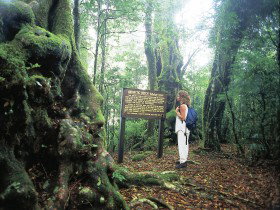 Tooloona Creek Circuit - Events Australia 0