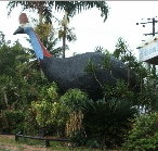 The Big Cassowary - Events Australia