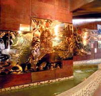 Riversleigh Fossil Centre - Events Australia