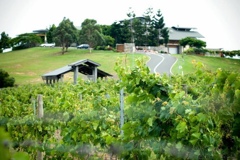 Sirromet Winery - Events Australia 10