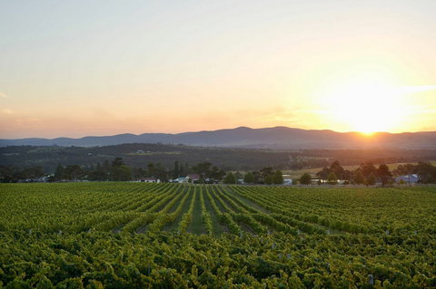 Sirromet Winery - Events Australia 13