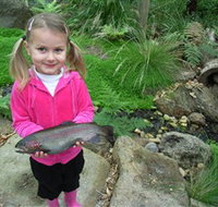 Wild Food Farm  Cafe - Events Australia