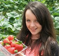 Yarra Valley Gateway Estate - Events Australia