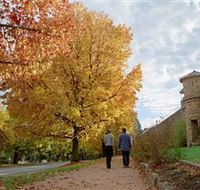Indigo Gold Trail - Events Australia