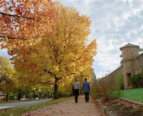 Indigo Gold Trail - Events Australia 0