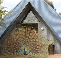 Halls Gap Zoo - Tourism Bookings