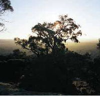 Yarra Flats - Events Australia